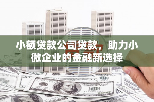滑县小额贷款公司贷款，助力小微企业的金融新选择