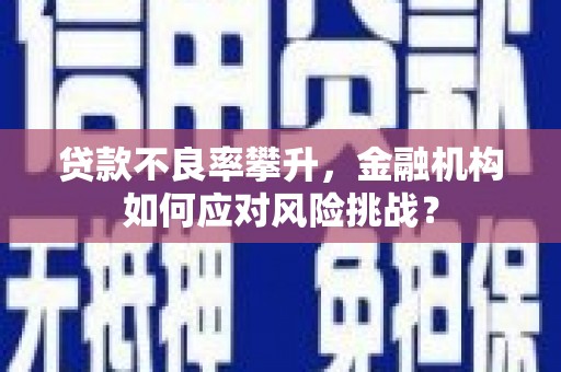 滑县贷款不良率攀升，金融机构如何应对风险挑战？