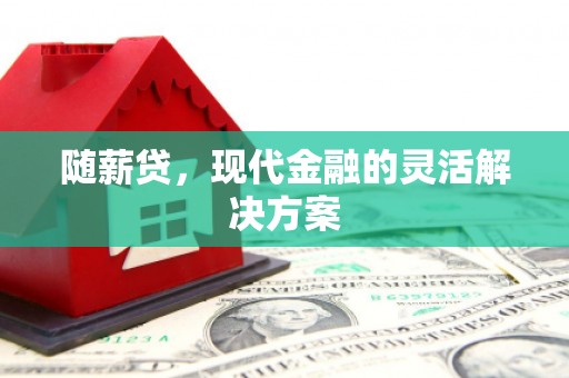 滑县随薪贷，现代金融的灵活解决方案
