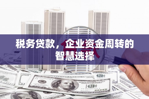 滑县税务贷款，企业资金周转的智慧选择