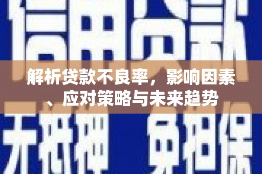 滑县解析贷款不良率，影响因素、应对策略与未来趋势