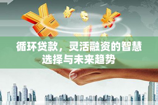 滑县循环贷款，灵活融资的智慧选择与未来趋势