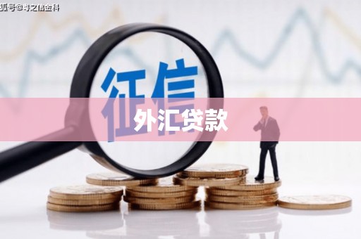 滑县外汇贷款
