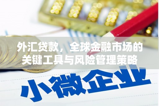 滑县外汇贷款，全球金融市场的关键工具与风险管理策略