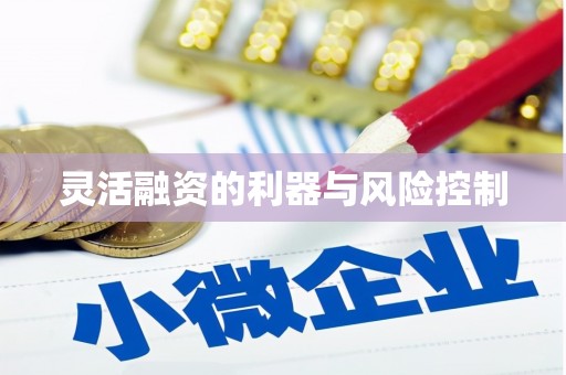 滑县灵活融资的利器与风险控制