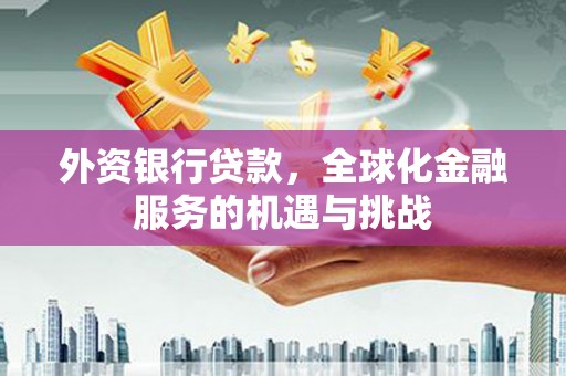 滑县外资银行贷款，全球化金融服务的机遇与挑战