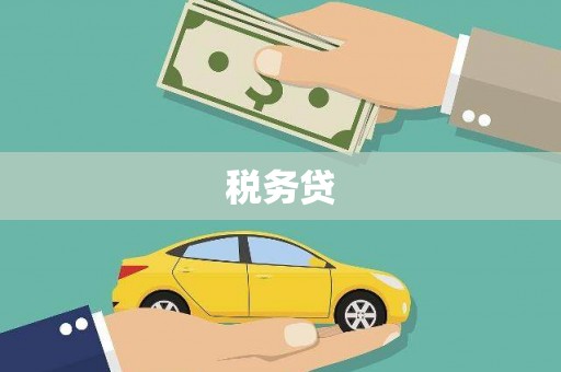 滑县税务贷