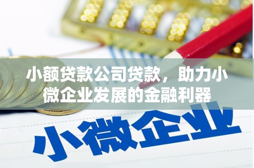 滑县小额贷款公司贷款，助力小微企业发展的金融利器