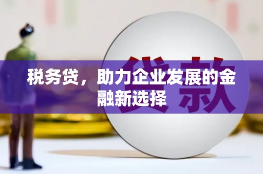 滑县税务贷，助力企业发展的金融新选择