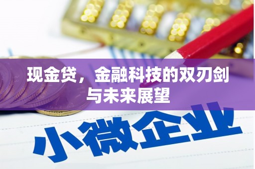 滑县现金贷，金融科技的双刃剑与未来展望