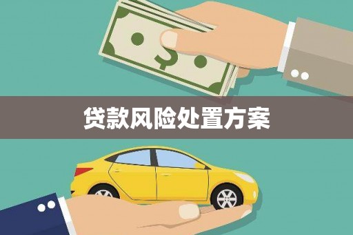 滑县贷款风险处置方案