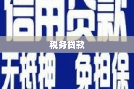 滑县税务贷款