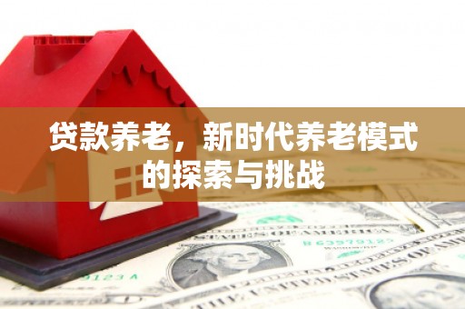 滑县贷款养老，新时代养老模式的探索与挑战