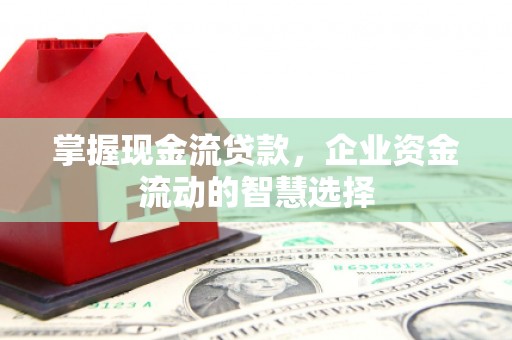 滑县掌握现金流贷款，企业资金流动的智慧选择