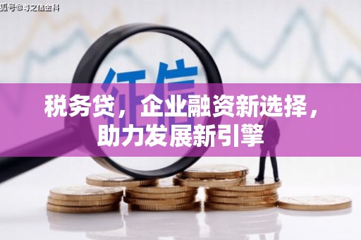 滑县税务贷，企业融资新选择，助力发展新引擎