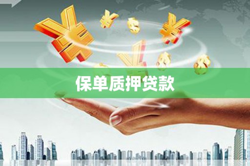 滑县保单质押贷款