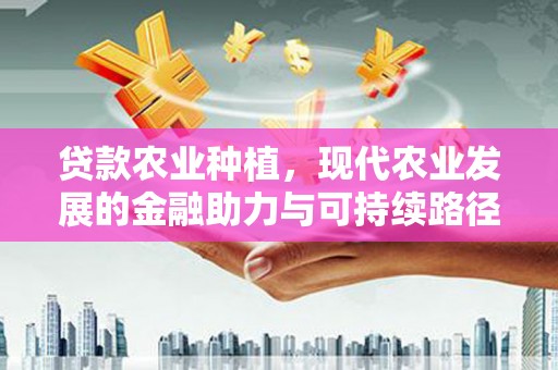 滑县贷款农业种植，现代农业发展的金融助力与可持续路径