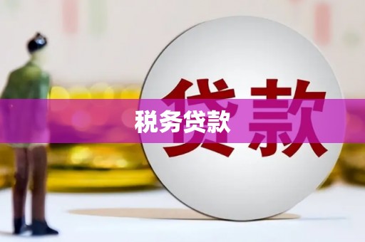 滑县税务贷款