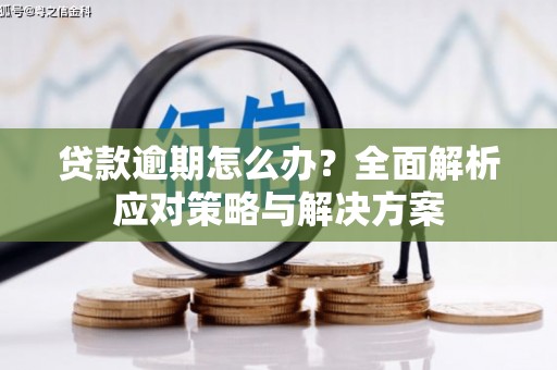 滑县贷款逾期怎么办？全面解析应对策略与解决方案