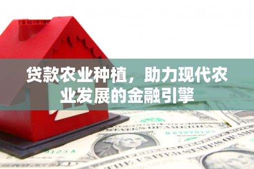 滑县贷款农业种植，助力现代农业发展的金融引擎