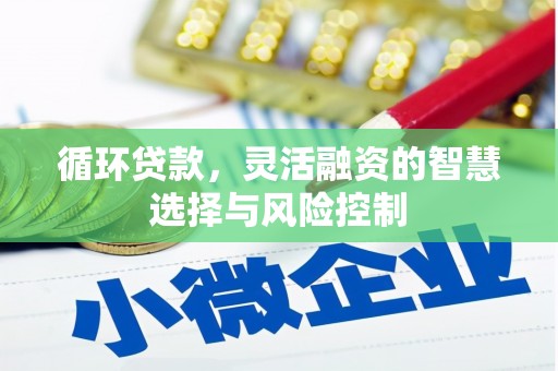 滑县循环贷款，灵活融资的智慧选择与风险控制