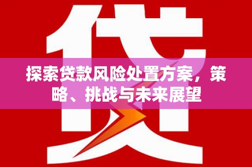 滑县探索贷款风险处置方案，策略、挑战与未来展望