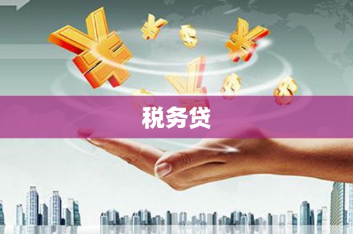 滑县税务贷