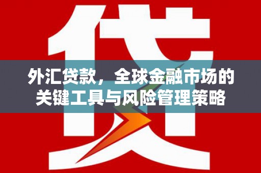 滑县外汇贷款，全球金融市场的关键工具与风险管理策略