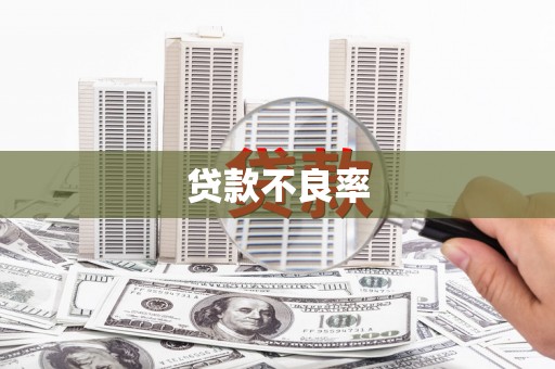 滑县贷款不良率