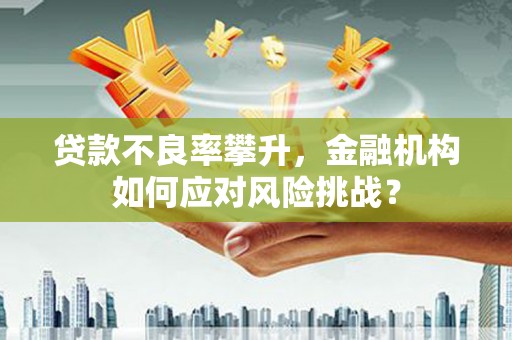 滑县贷款不良率攀升，金融机构如何应对风险挑战？