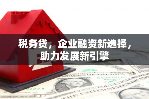 滑县税务贷，企业融资新选择，助力发展新引擎