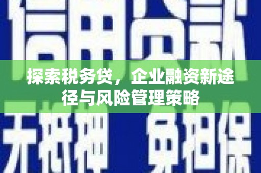滑县探索税务贷，企业融资新途径与风险管理策略