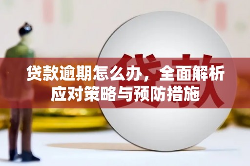 滑县贷款逾期怎么办，全面解析应对策略与预防措施