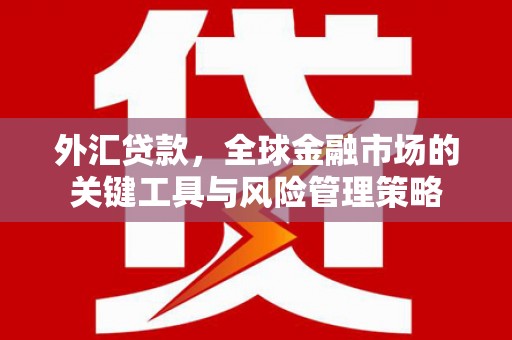 滑县外汇贷款，全球金融市场的关键工具与风险管理策略