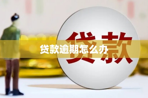 滑县贷款逾期怎么办