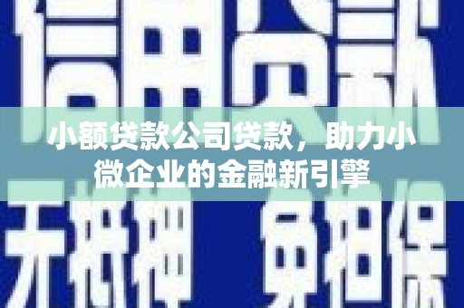 滑县小额贷款公司贷款，助力小微企业的金融新引擎
