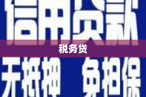 滑县税务贷