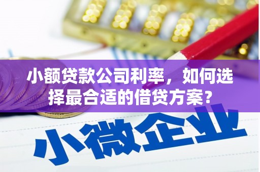 滑县小额贷款公司利率，如何选择最合适的借贷方案？