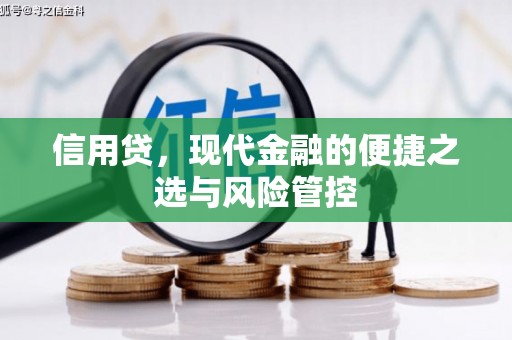 滑县信用贷，现代金融的便捷之选与风险管控
