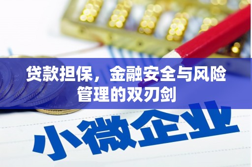 滑县贷款担保，金融安全与风险管理的双刃剑