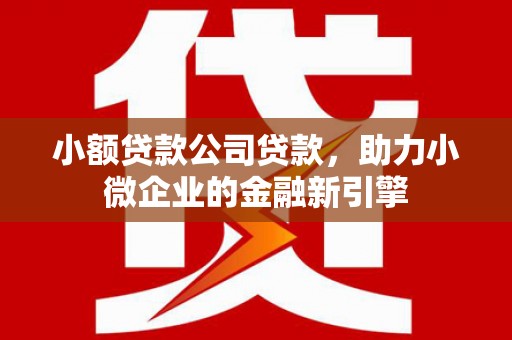 滑县小额贷款公司贷款，助力小微企业的金融新引擎