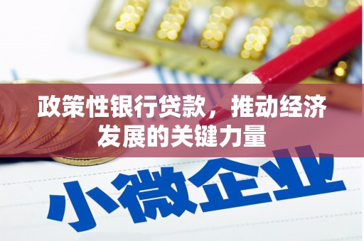 滑县政策性银行贷款，推动经济发展的关键力量