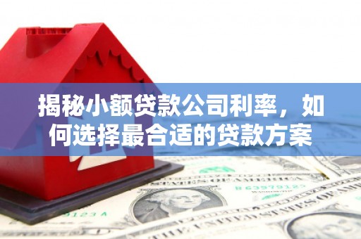 滑县揭秘小额贷款公司利率，如何选择最合适的贷款方案