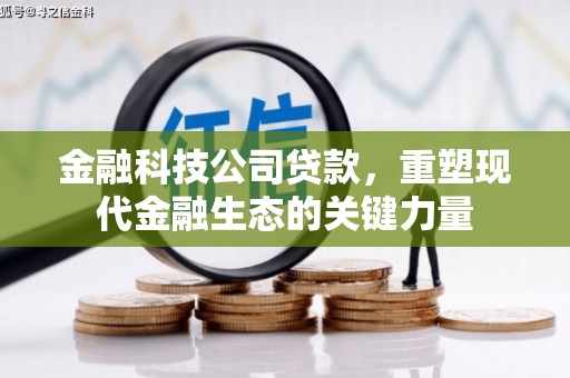 滑县金融科技公司贷款，重塑现代金融生态的关键力量
