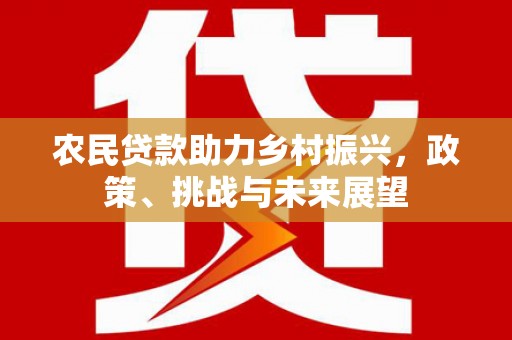 滑县农民贷款助力乡村振兴，政策、挑战与未来展望
