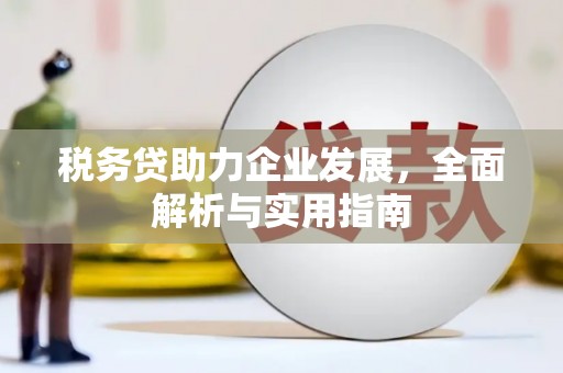 滑县税务贷助力企业发展，全面解析与实用指南