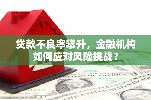滑县贷款不良率攀升，金融机构如何应对风险挑战？
