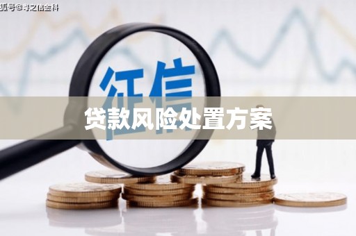 滑县贷款风险处置方案