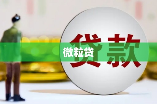 滑县微粒贷