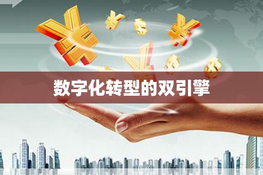 滑县数字化转型的双引擎